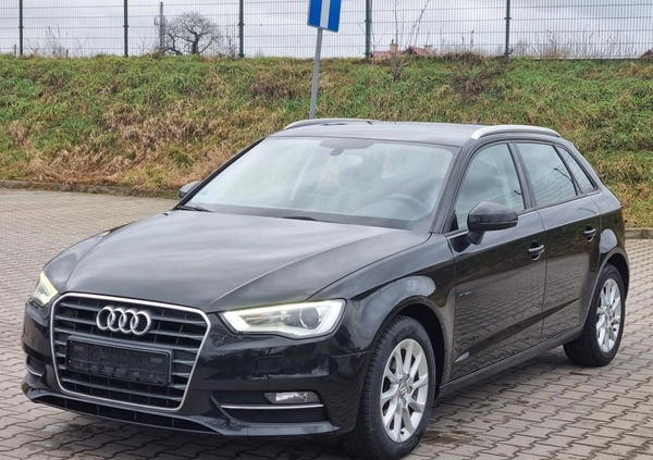 Audi A3 cena 41900 przebieg: 240800, rok produkcji 2013 z Żary małe 742